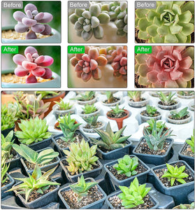 Grow Lights Plant Light for Indoor Plants-5 Heads