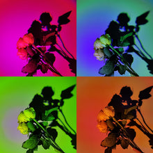 Load image into Gallery viewer, Led Sunset Projection Lamp Night Light
