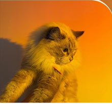 Load image into Gallery viewer, Led Sunset Projection Lamp Night Light

