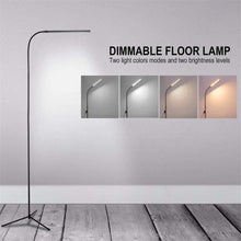Load image into Gallery viewer, LED Standing Floor Lamp
