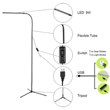 Load image into Gallery viewer, LED Standing Floor Lamp

