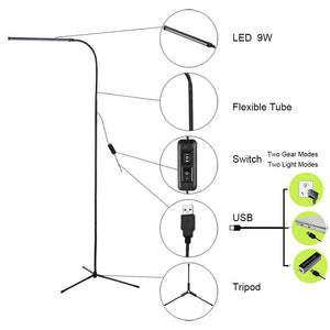 LED Standing Floor Lamp