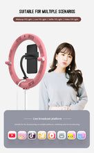 Load image into Gallery viewer, Selfie Fold Ring Light
